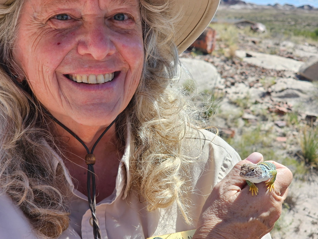 Anita Allen smiling and holding a collared lizard in her hand, with a desert landscape in the background